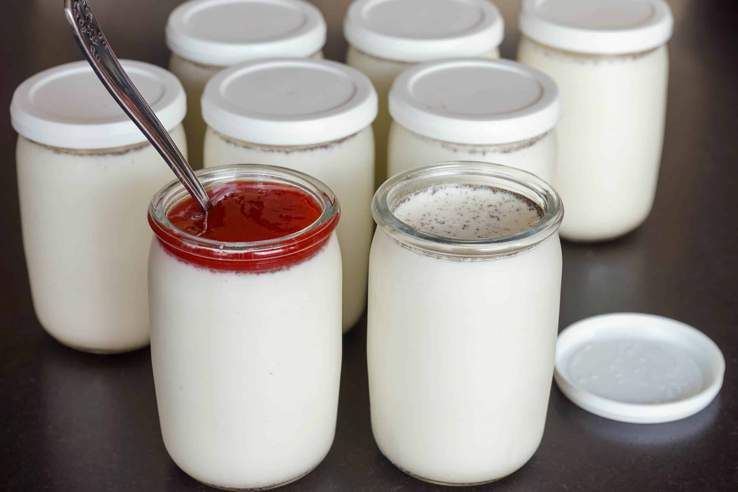 fromage blanc fait maison dans des pots aromatisés